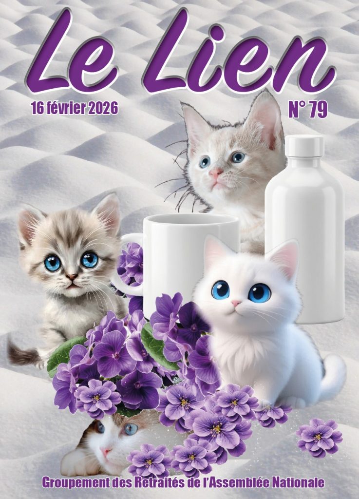 2026-02-22 Lien 79 Couverture